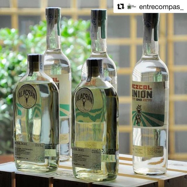 TequilaAlacran's tweet photo. Un placer haber sido parte de la entrega de premios @mexicanos.aqui Enhorabuena a los ganadores y que siga brillando el talento mexicano de lo bien hecho por España #AgaveLovers https://t.co/uNdQ84BJEH