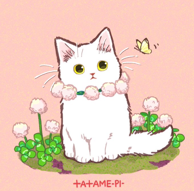 「花 白い猫」のTwitter画像/イラスト(新着)｜8ページ目