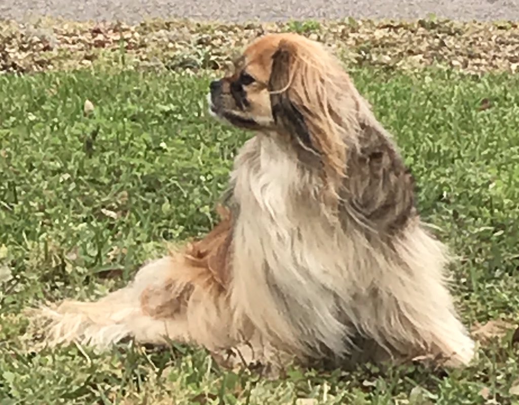 FlaToCali's tweet image. Spoiled... #my💕 #prapso