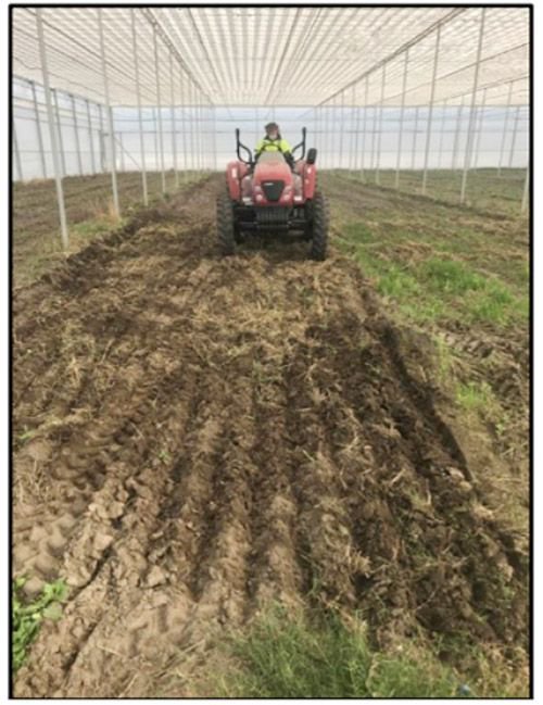 jpequitypartner's tweet photo. Wide Open Agriculture plants first industrial hemp crop at WA shade house. $WOA #hemp #WAfirst https://t.co/zU34YWIuDo https://t.co/GxFPpEOygG