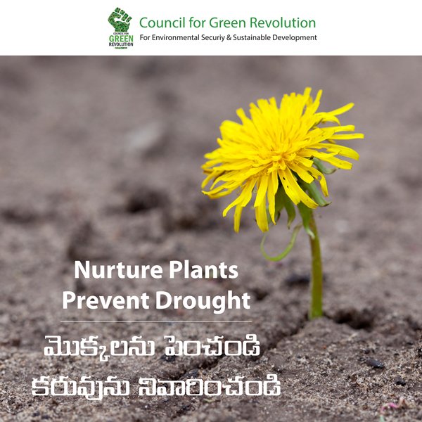 cgrindiaimpact's tweet photo. Trees causes rain &amp; rain prevents drought. Let's plant more trees &amp; save the farmer.

 For more info: https://t.co/Ju8DDhd3xk

 #CouncilforGreenRevolution #Nature #Birds #EnvironmentDevelopmentandSustainability #EnvironmentalSecurity #EnvironmentalSustainability https://t.co/p7LXzFfadA
