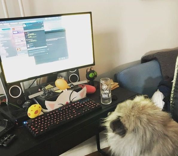 EscapeAssist's tweet image. EscapeAssist Software Dog! #escaperoom #escapegames #exitgames #roomescape