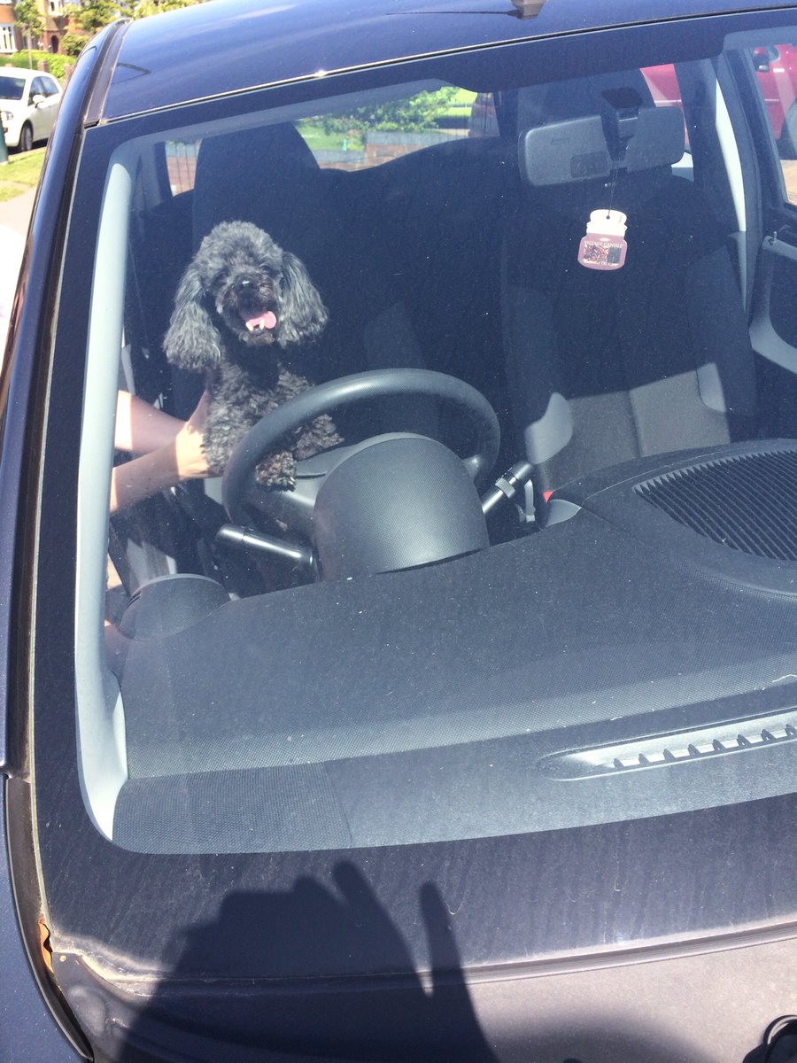 bullseye jason tweet media