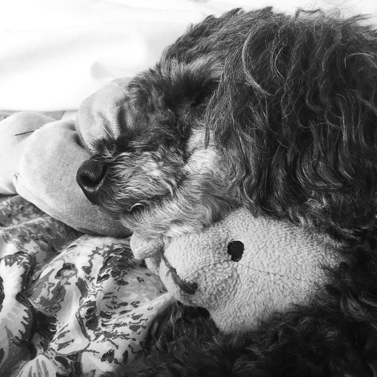 bullseye jason tweet media