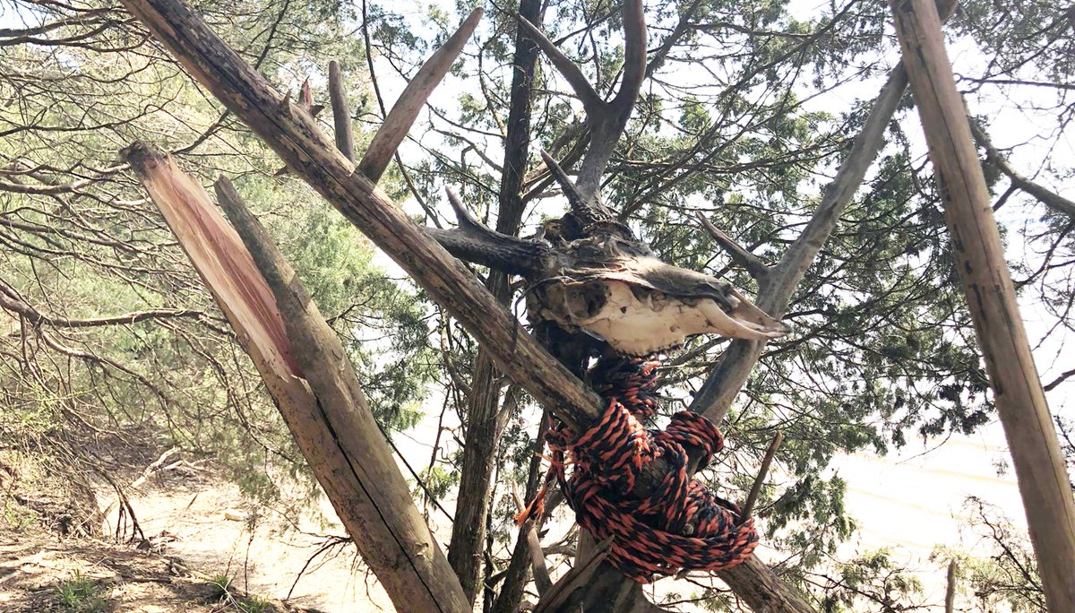 Stripper thongs, a human skull: What strange things have you found in the Mississippi woods? bit.ly/2HUQqNm