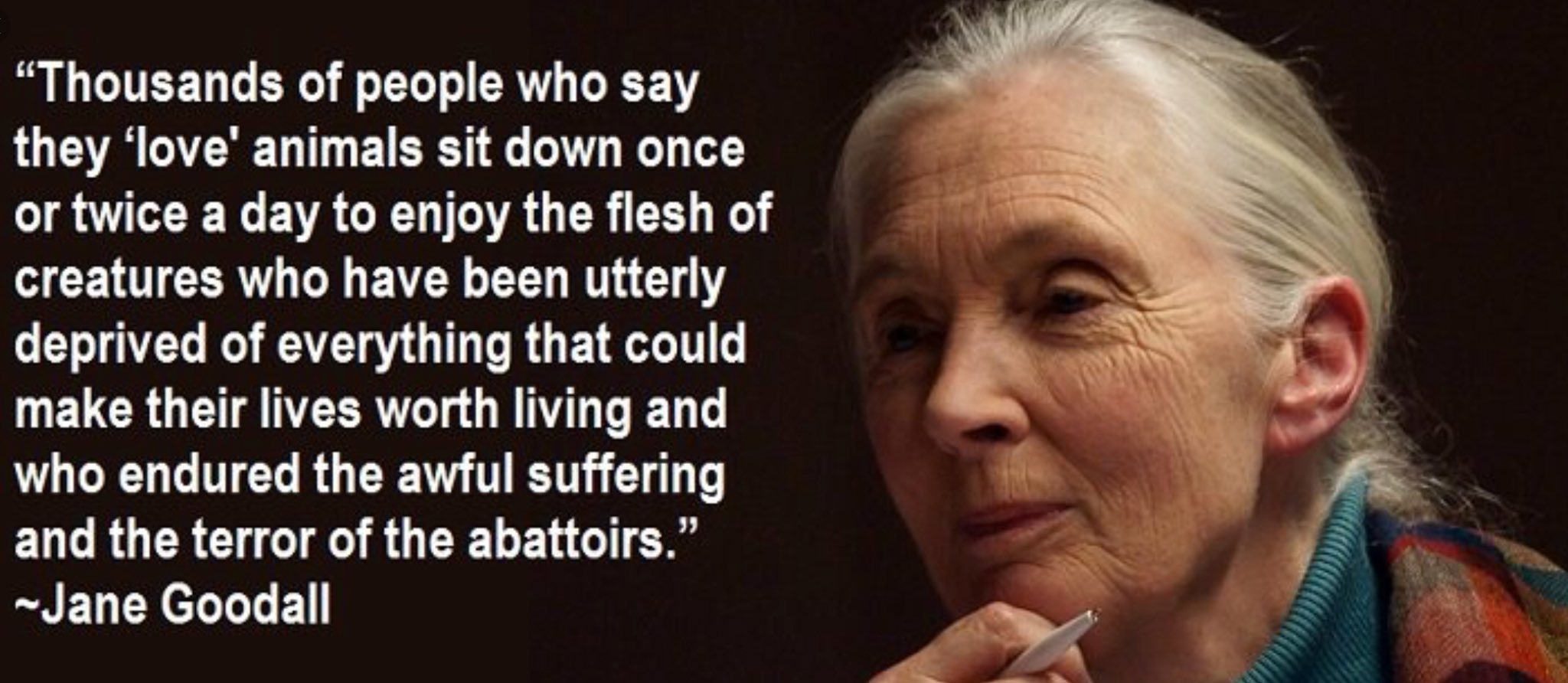 Happy 85th Birthday, Jane Goodall!   