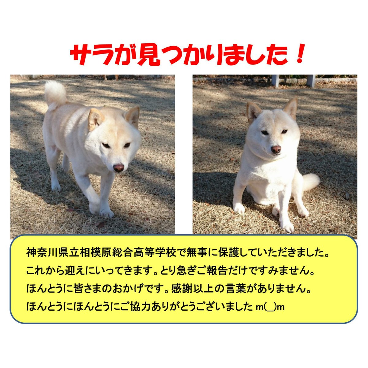 tubutubucom tweet picture