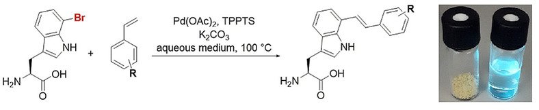 Sewald Lab (@sewald_group) on Twitter photo Heck cross-coupling succeeds in water using unprotected bromotryptophan as a substrate. Our recent paper is now online in <a href="/ChemEurJ/">ChemEurJ: Chemistry - A European Journal</a>.
onlinelibrary.wiley.com/doi/abs/10.100… Heck cross-coupling succeeds in water using unprotected bromotryptophan as a substrate. Our recent paper is now online in <a href="/ChemEurJ/">ChemEurJ: Chemistry - A European Journal</a>.
onlinelibrary.wiley.com/doi/abs/10.100…
