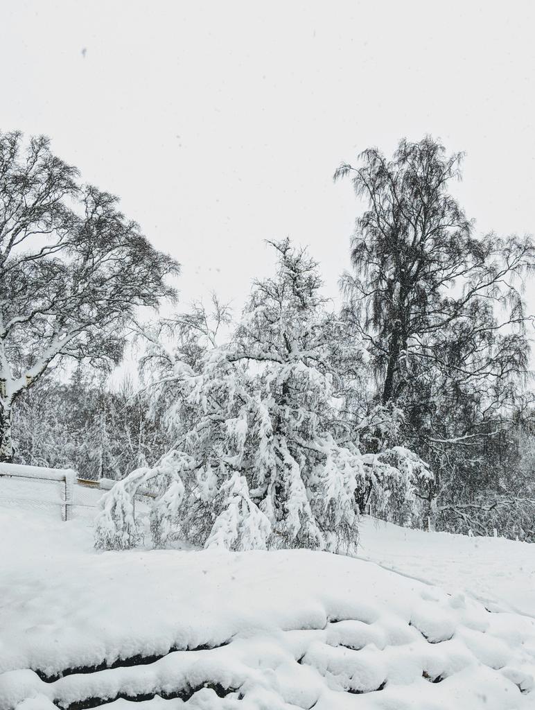 Didn't expect to wake up to this! Deep snow and no power in Tomatin!