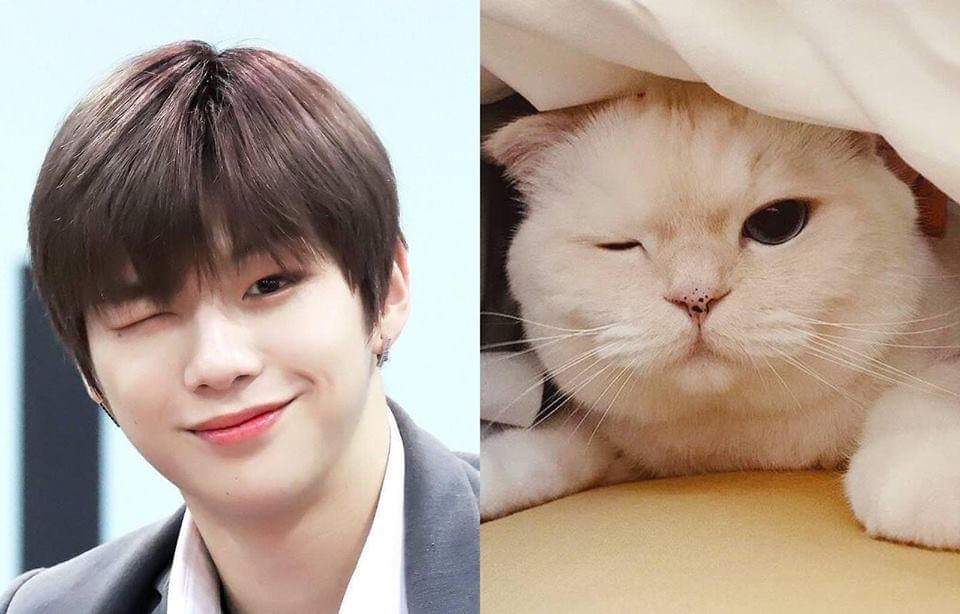 nmhang00's tweet photo. #KangDaniel #ForeverWithDaniel #standbyDaniel https://t.co/UPLC14VZOF