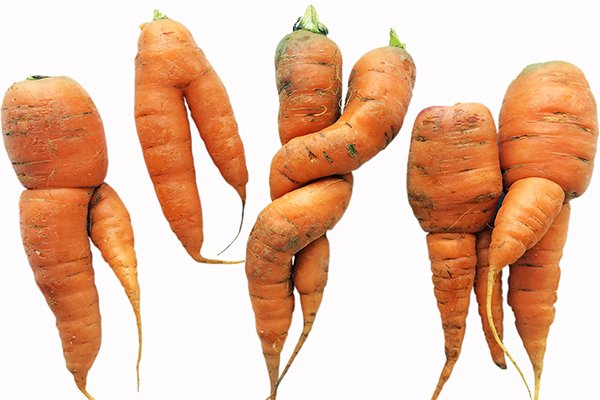 Tomorrow is #InternationalCarrotDay 🥕!  Remember not to discard the "ugly" ones. These carrots contain the exact same nutritional value as their "more sexy" counterparts and help us prevent unnecessary food waste!