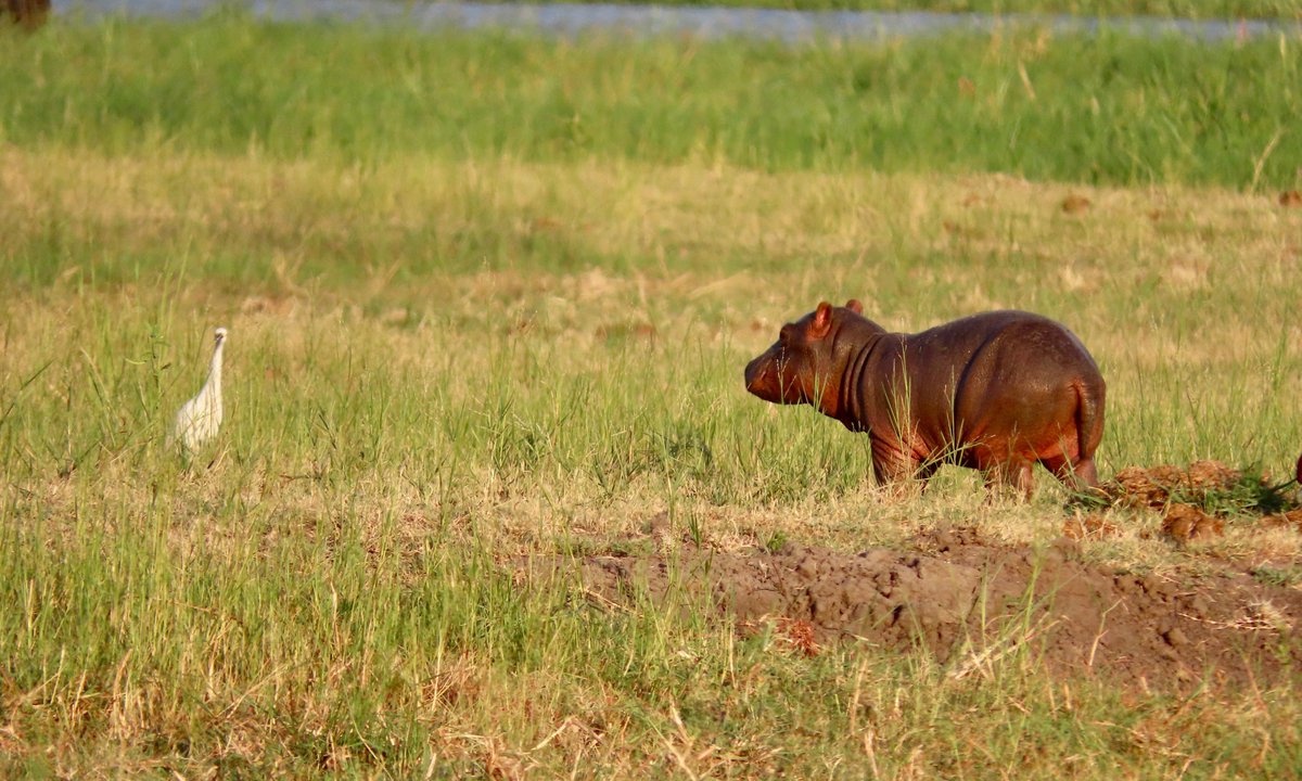 eXplore Plus Travel tweet media