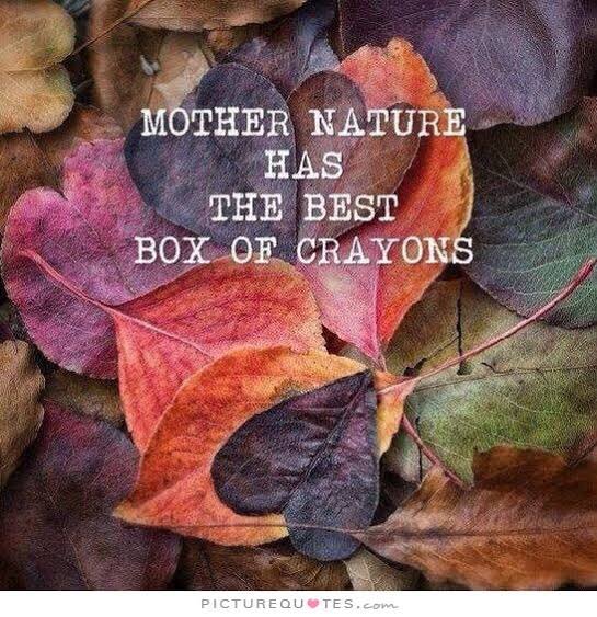 Favorite quotes that inspire writing ✍️... ‘Mother nature has the best box of crayons’ ....what’s yours? 🍁🍂🍄 #writingcommmunity #autumn