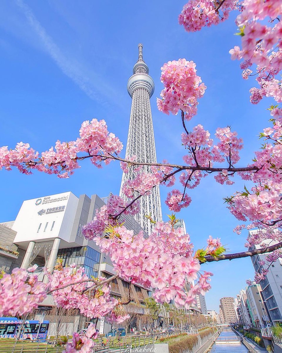 getvidi's tweet photo. Most people associate Tokyo Skytree with its magnificent observation decks but first and foremost, it’s Tokyo’s radio tower. It has the important function of providing the surrounding area with stable radio waves and numerous TV and radio stations in Tokyo using the tower. https://t.co/PprOBh1AOY