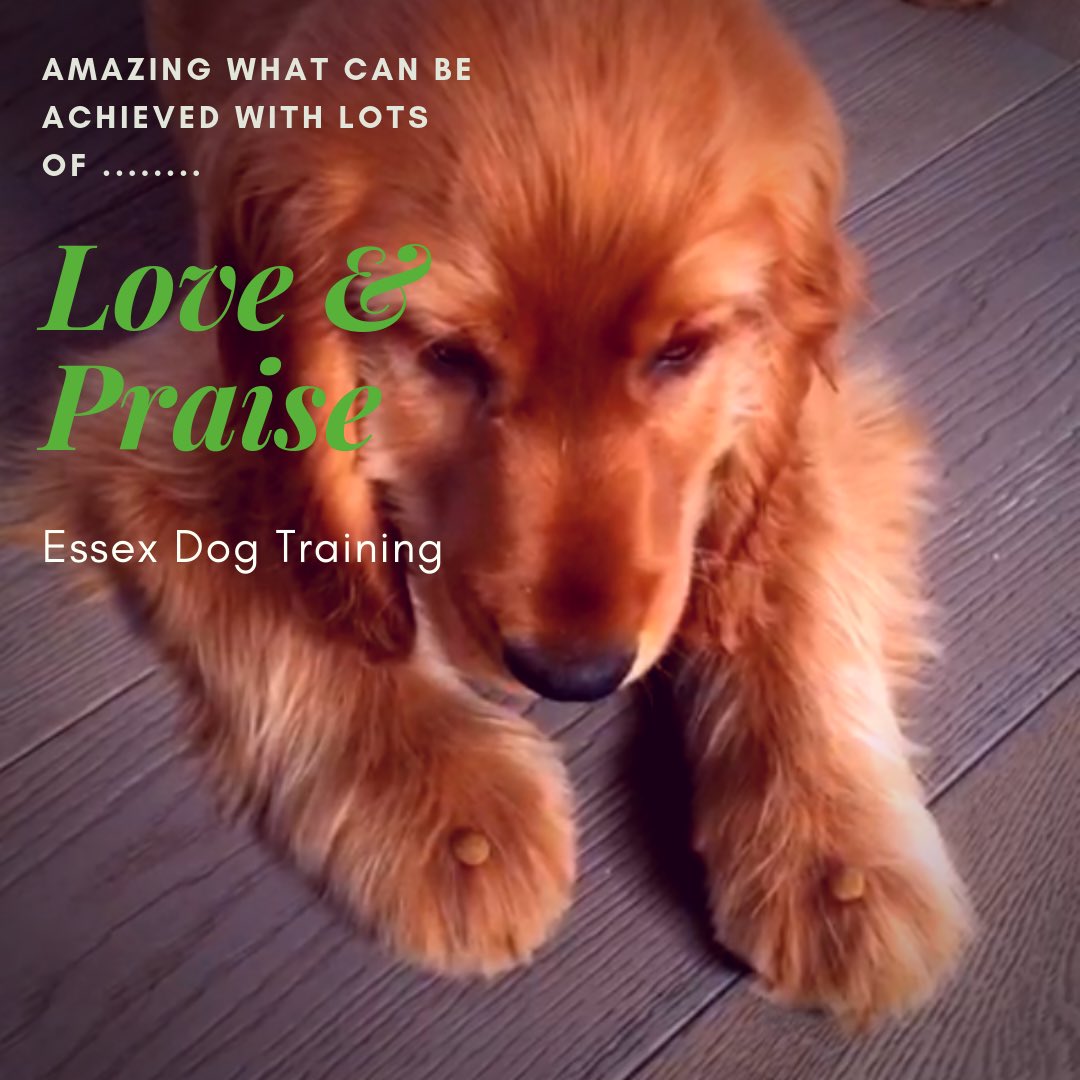 TrainingEssex's tweet photo. #justbenice #itseasy https://t.co/3E6IYtqgcH