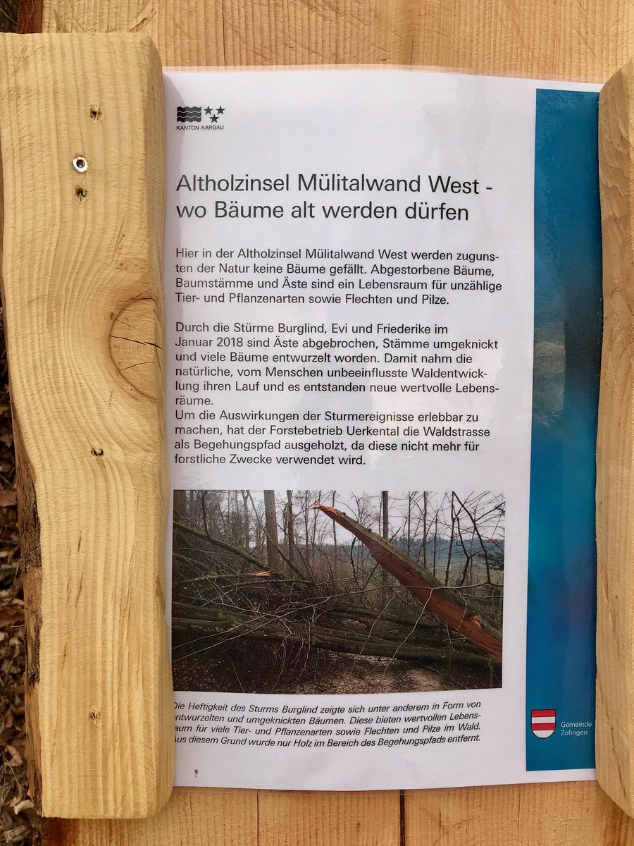jilluescher's tweet photo. Erstaunliche Erkenntnis! Bitte weiter so. Bravo #Zofingen. #Sturm #Burglind #Evi #Friederike #Uerkheim https://t.co/byYntETMiO