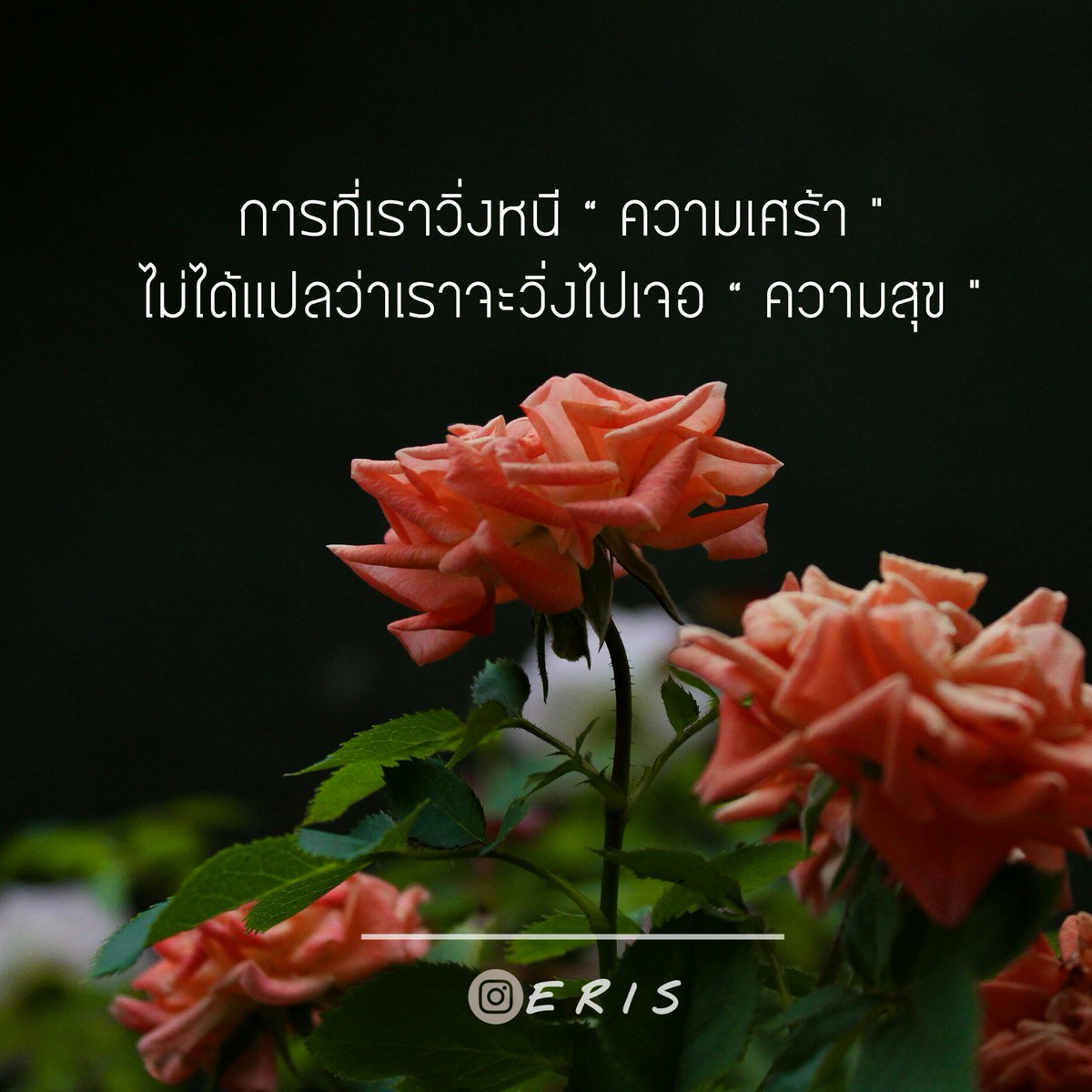 DIAMOND69423515's tweet photo. ฝากติดตาม IG : eriss.z ด้วยนะคะ🐰🍑
https://t.co/9LLMEdGBda
#eris #atonetime #กาลครั้งหนึ่ง #ความรู้สึก #เศร้า #คิดถึง #เเคปชั่น #เเคปชั่นความรู้สึก #feelings #SafeZone
#weak #เหงา #เเคปชั่นเศร้า #เเคปชั่น2019 https://t.co/F92jcXd1oM