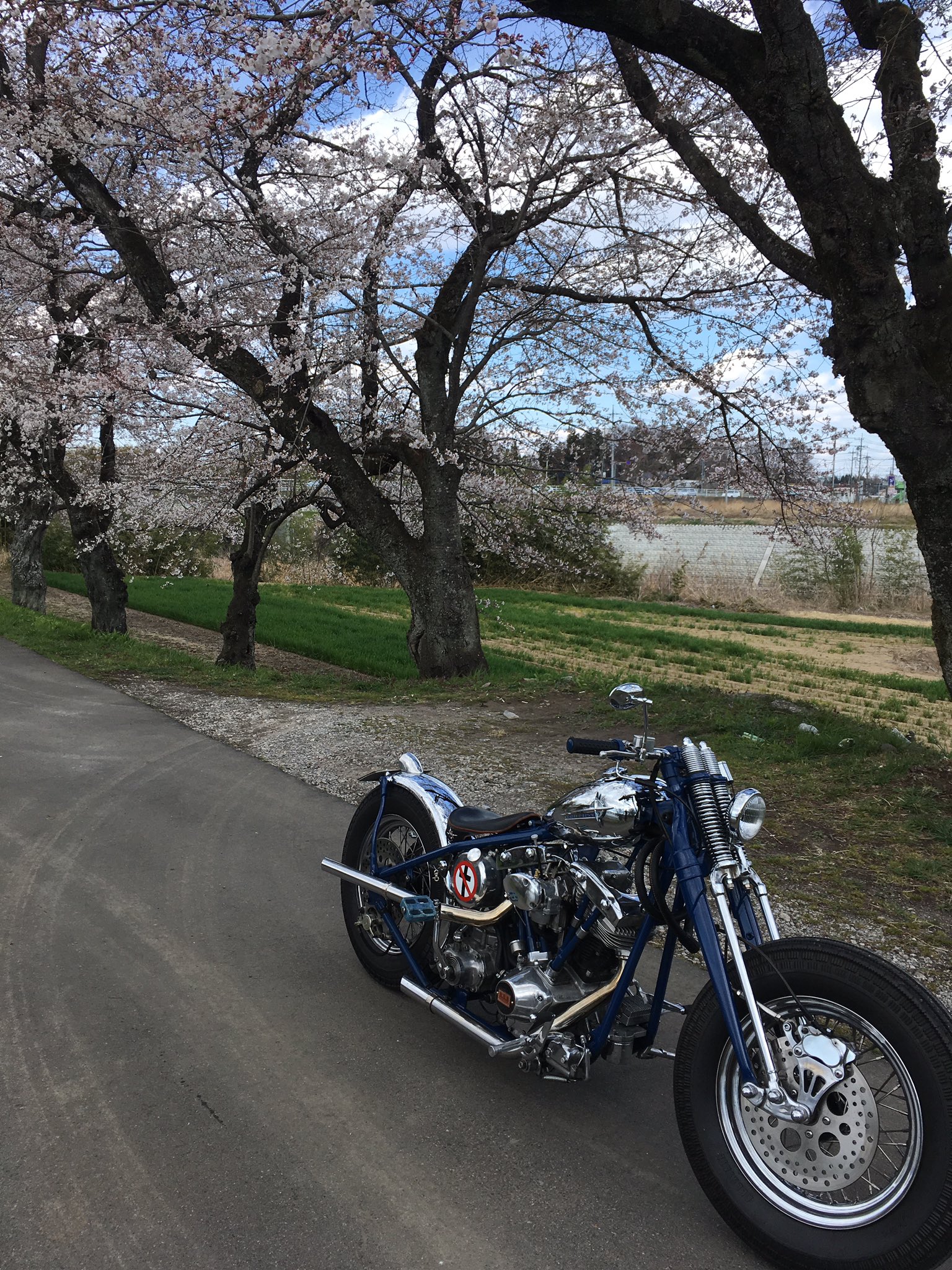 H S D ショベルと桜 Harley Harleydavidson Shovelhead Shovel Motorcycle Chopper Bobber Custom Rigid ハーレー ハーレーダビッドソン カスタム ショベル ショベルヘッド ショベリジ リジッド チョッパー ワンオフ 桜