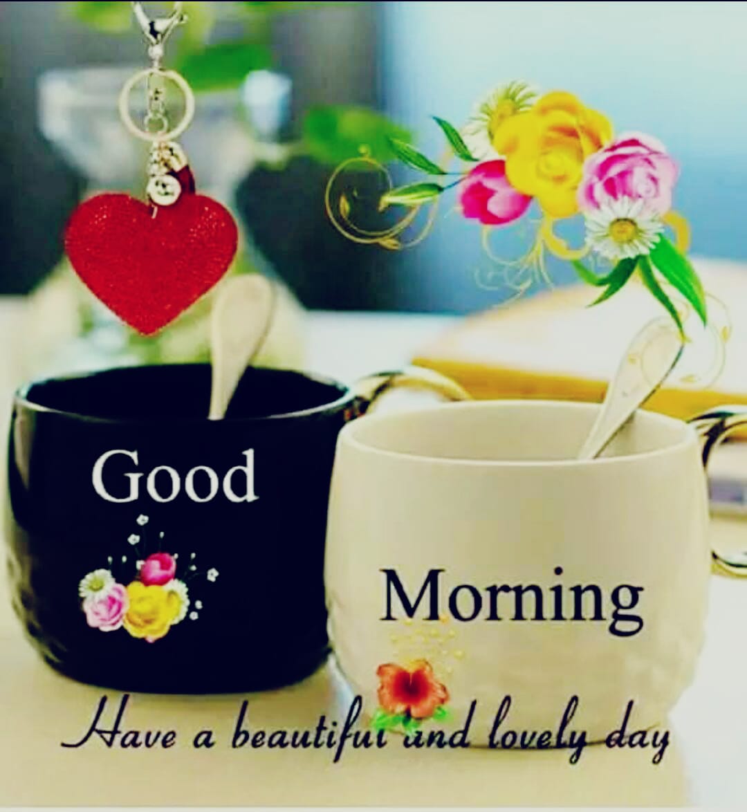 Shamshair_Waqas's tweet photo. یااللہ ہمیں توفیق عطا فرما کہ ہم نرم مزاجی، اچھے اخلاق اور میٹھی مسکراھٹ کےساتھ سب کے ساتھ
پیش آئیں جو کہ پختہ ایمان کی علامت ہے، 
دعاہے کہ اللہ تعالی آپکو ہر وہ خوشی دے جس کی آپ کے دل میں تمنا ہے۔
*
آمین
*
#ادب_کا_سفر
#صباح_الخير
#اجالا_نور_کا
#کامیابی_کا_سفر
#فروغ_محبت https://t.co/BUfaV6a3lx