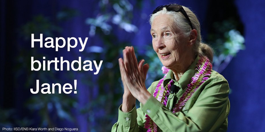 Happy birthday, #JaneGoodall!
Your tireless, insightful work inspires us all.
ow.ly/Ygzv50oQTRI <a href="/JaneGoodallInst/">Dr. Jane Goodall & the Jane Goodall Institute</a>
