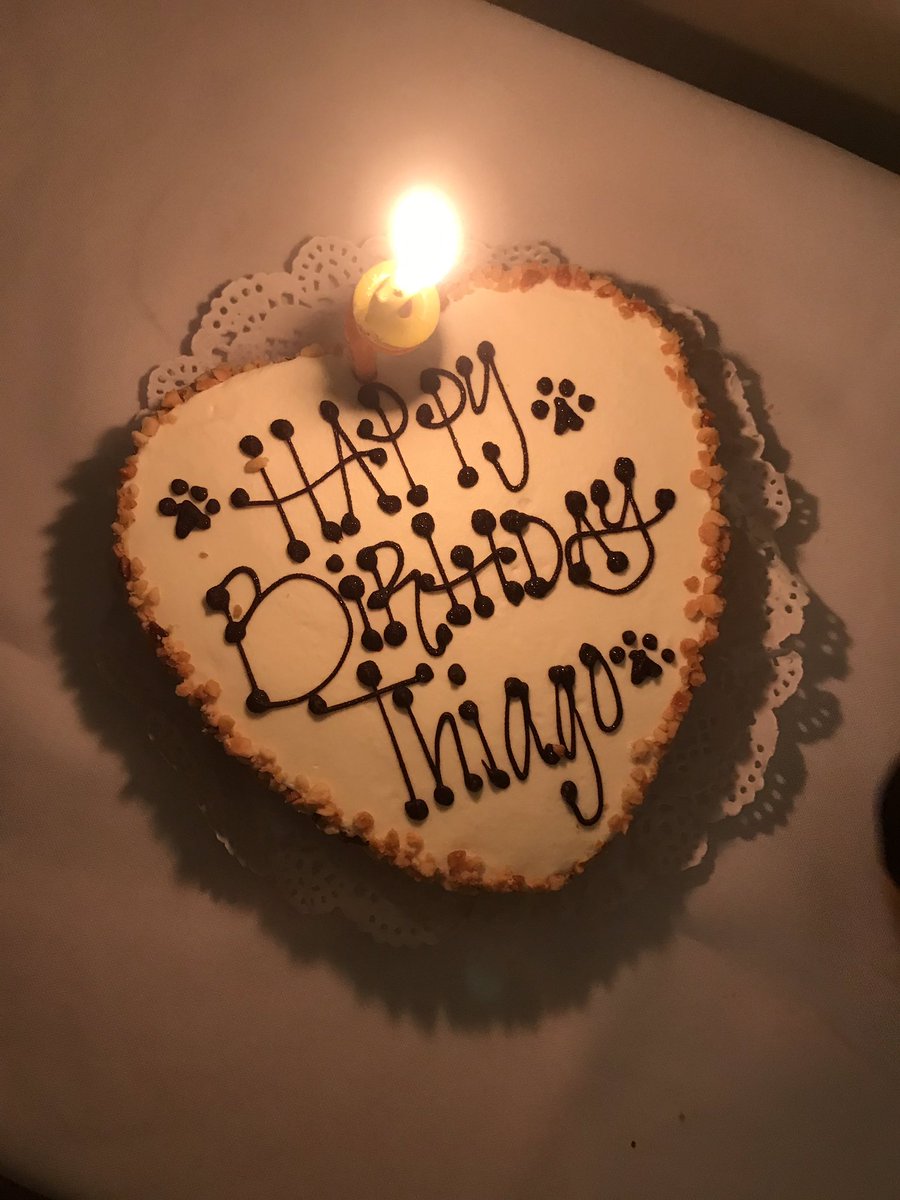 stargirlces's tweet image. today was Thiago’s 1st birthday so we got him a little cake🥳 he grew up so fast😢 #thebig1💙🐾