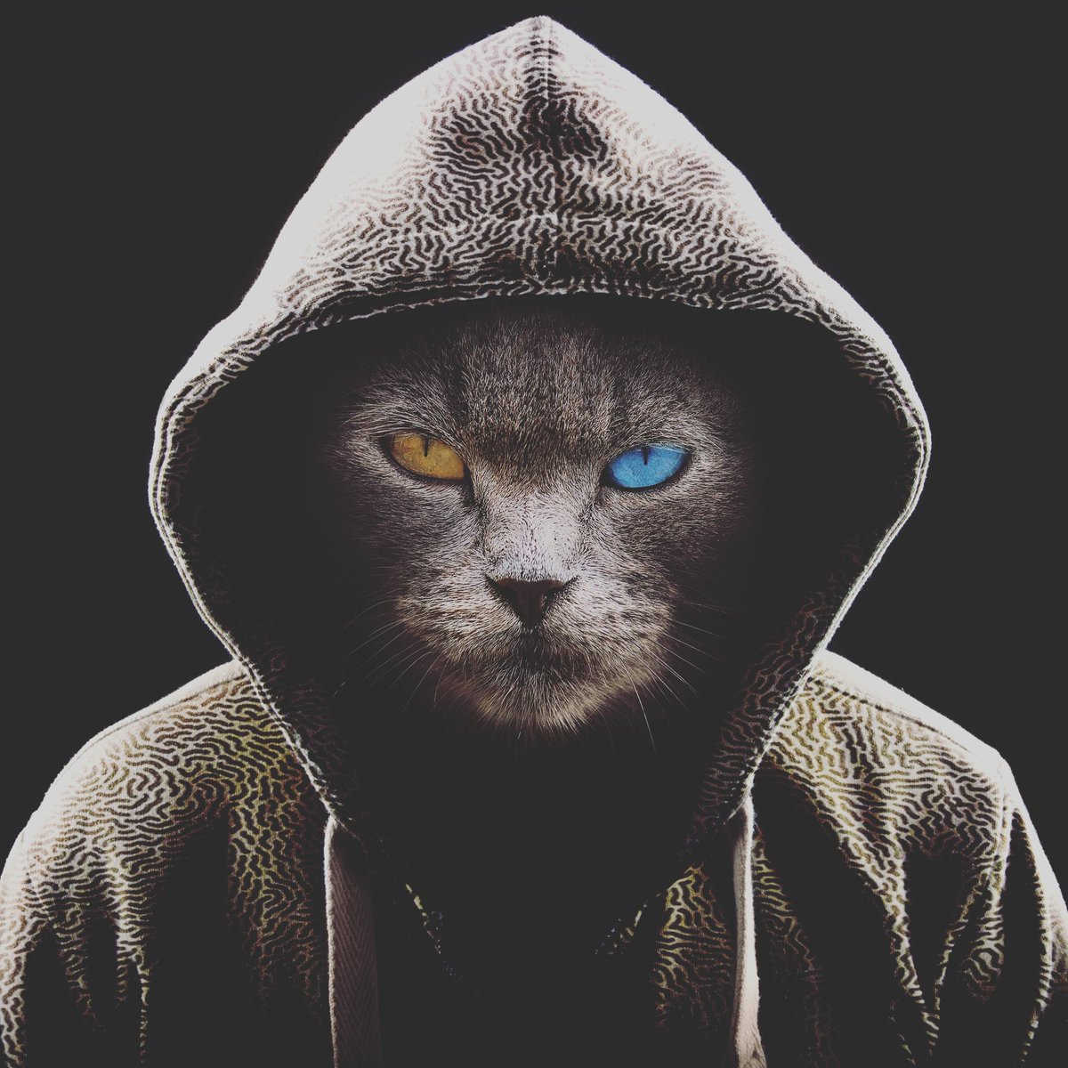 muhtadilbs's tweet photo. #FotoProfilBaru https://t.co/f1BXokS5uX