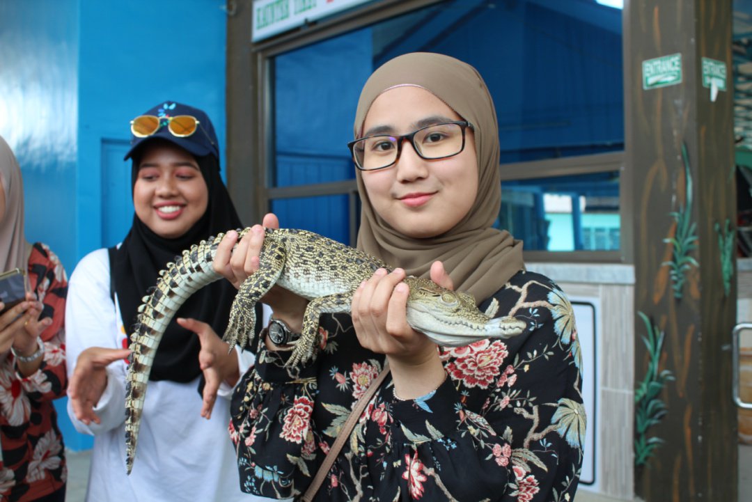 Gaya Travel Magazine On Twitter 4 Teluk Sengat Crocodile World This Is The Largest Crocodile Farm In West Malaysia Over 1 000 Crocodiles Reside Here You Can See Many Crocodiles Ranging From The