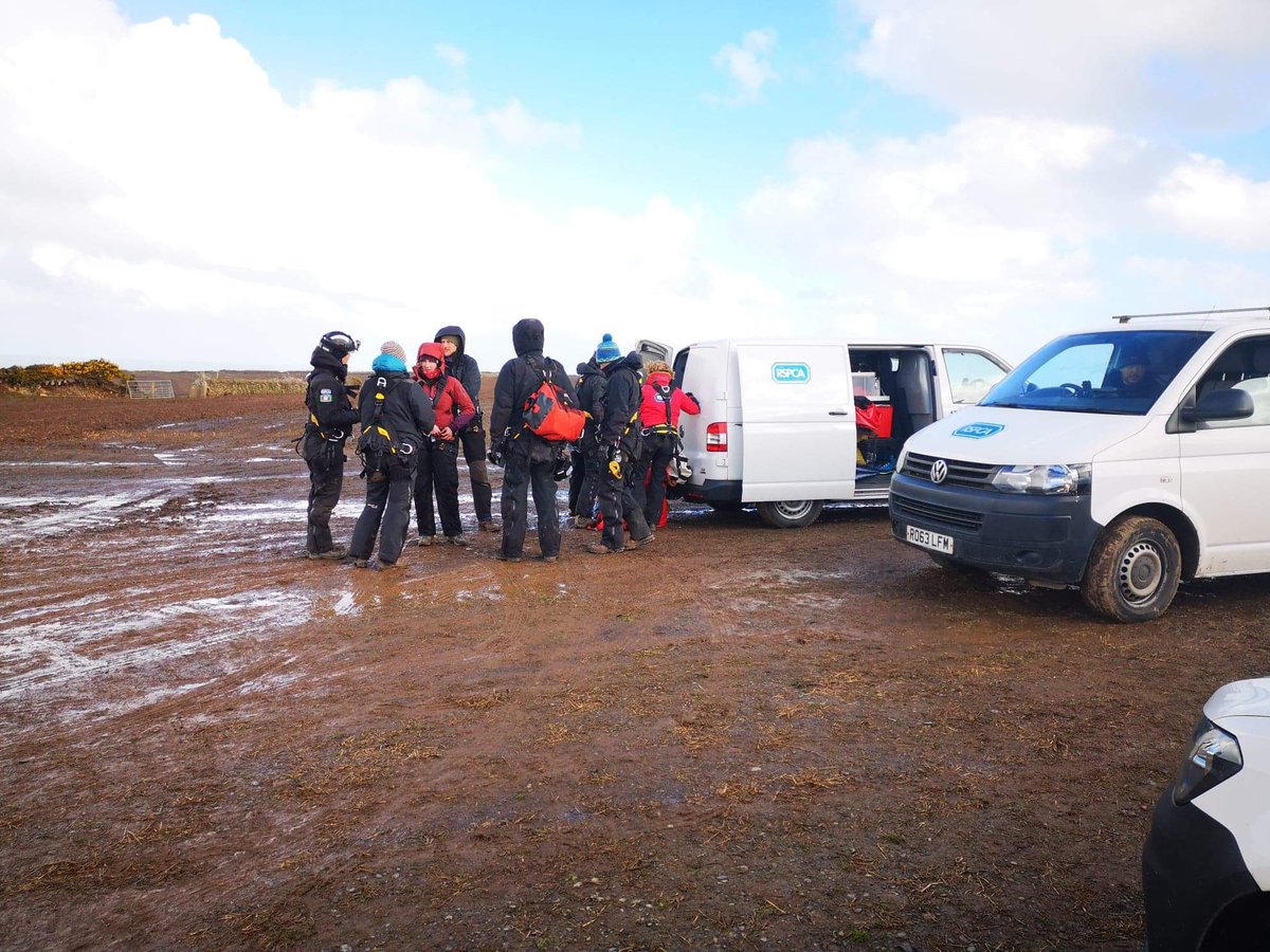 These are the sheep rescuers. They’re continuing their ⁦@mawwTechnical⁩ and ⁦<a href="/RSPCAcymru/">RSPCA Cymru</a>⁩ 70+ sheep rescue this morning near Mathry, Pembs, but in severe weather conditions. It’ll limit how many sheep they can rescue today. Updates ⁦<a href="/BBCRadioWales/">BBC Radio Wales</a>⁩