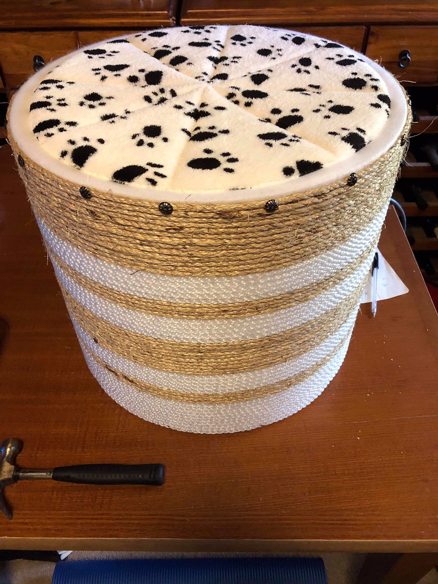 CathysCatPods's tweet photo. Another #Scratchpod finished 😻
I’ve got 2 orders left to make and the fundraiser for Street Cat Appeal Narrogin SCAN is complete!
We’ve raised $201 ❤️
#CathysCatBeds #Rescue #AdoptDontShop #Catpods #HandMade #MadeWithLove #Cats #AlwaysFundraising #RunningOutOfSteam https://t.co/Gyfq6o3sXZ