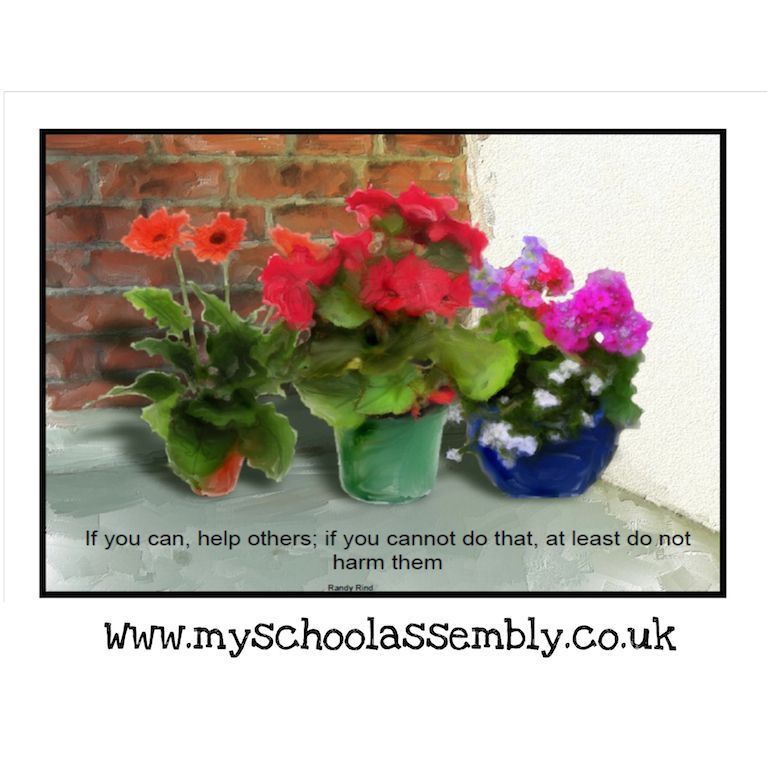 myschoolassembly tweet media