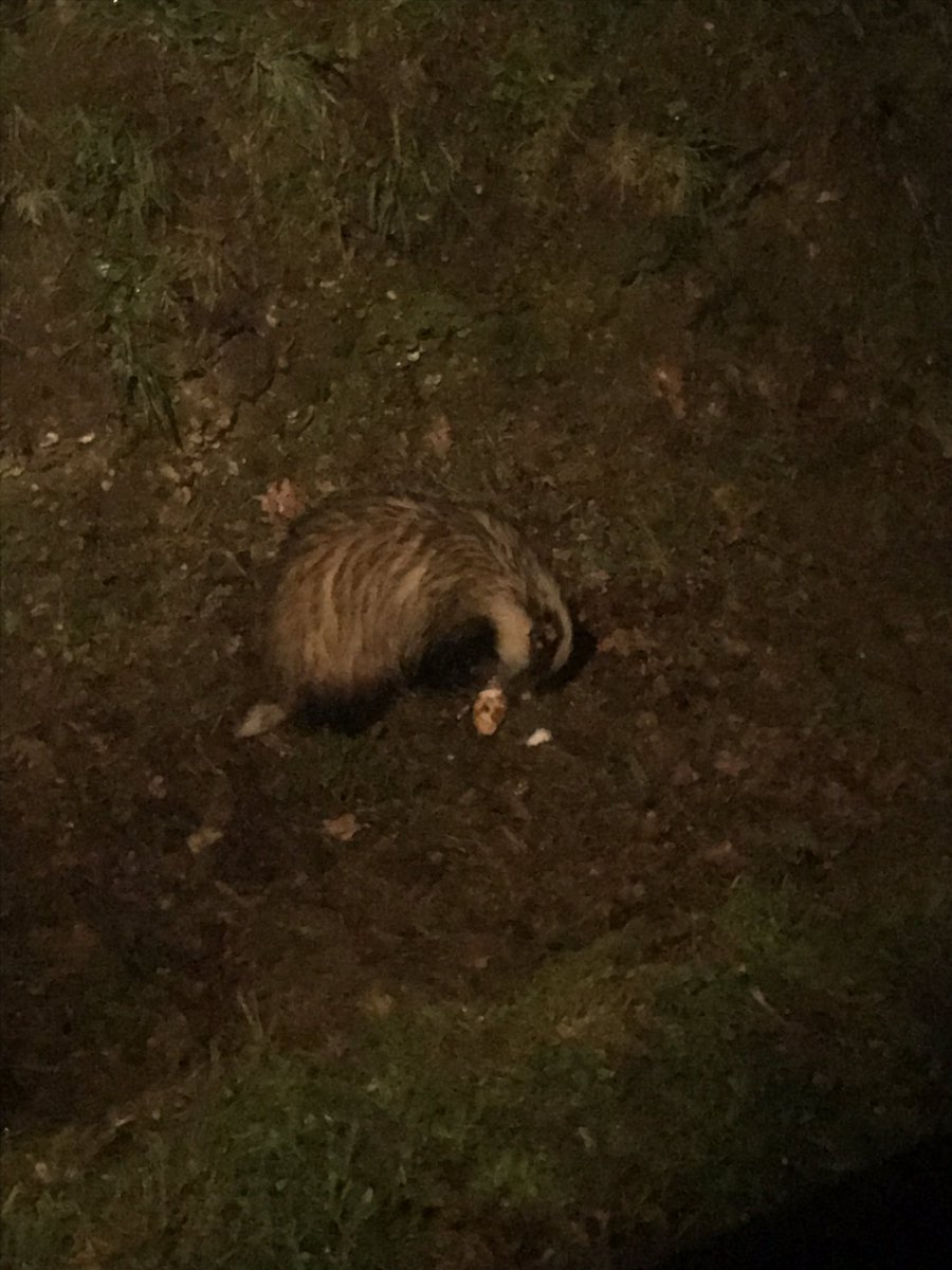 Year 4 Stubbington Trip tweet media