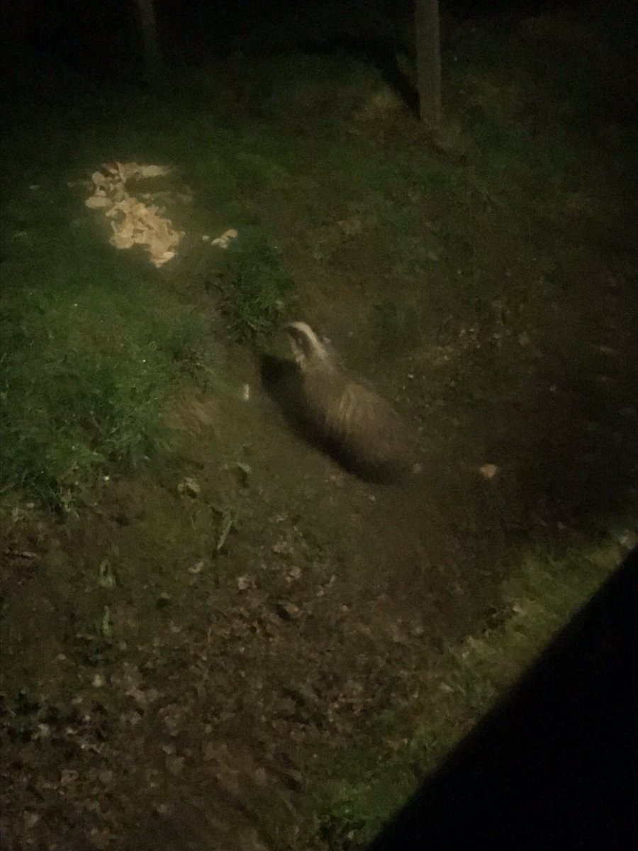 Year 4 Stubbington Trip tweet media