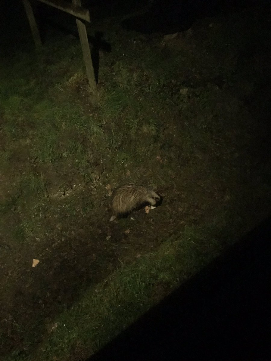 Year 4 Stubbington Trip tweet media