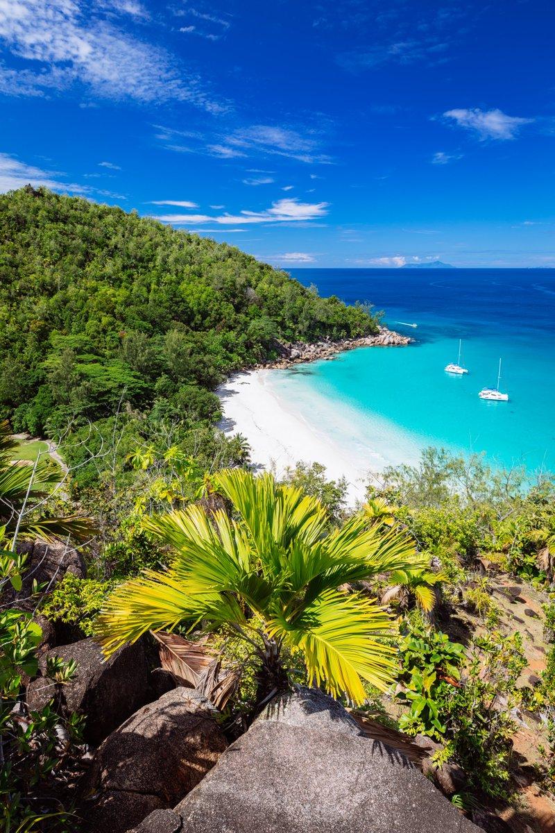 goplacesdigital's tweet photo. @visitseychelles This #easterholidays and stay @SSZilPasyon Simply Breathtaking!
#GoSeychellesIsland #WanderlustWednesday #WednesdayMotivation #GoEaster
📸Credit @missangievilla @jeremyaustin https://t.co/my81GL6DaI