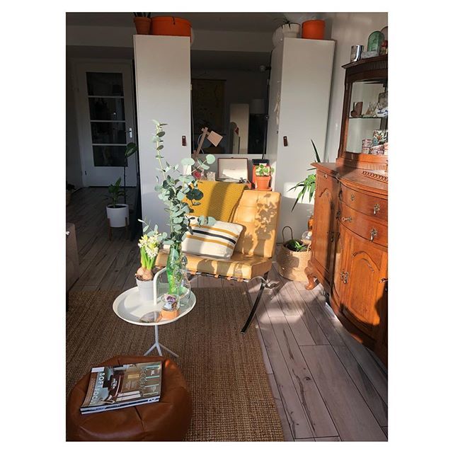 yourambassa3e's tweet image. Zonnige morgen!
.
.
.
#home #interiordesign #barcelonachair #moesvanderrohe #vintage #hay #urbanjungle #sunnymorning #elledecoration #binnenkijken ift.tt/2I8Nn3k