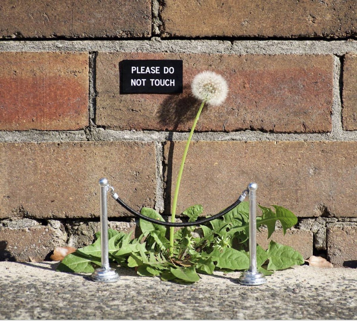 Conoscete l’artista Miguel Marquez? Le sue micro installazioni negli spazi urbani regalano momenti di poesia nelle città di tutto il mondo. 

L’articolo qui: artwort.com/2018/06/19/art…

#streetart