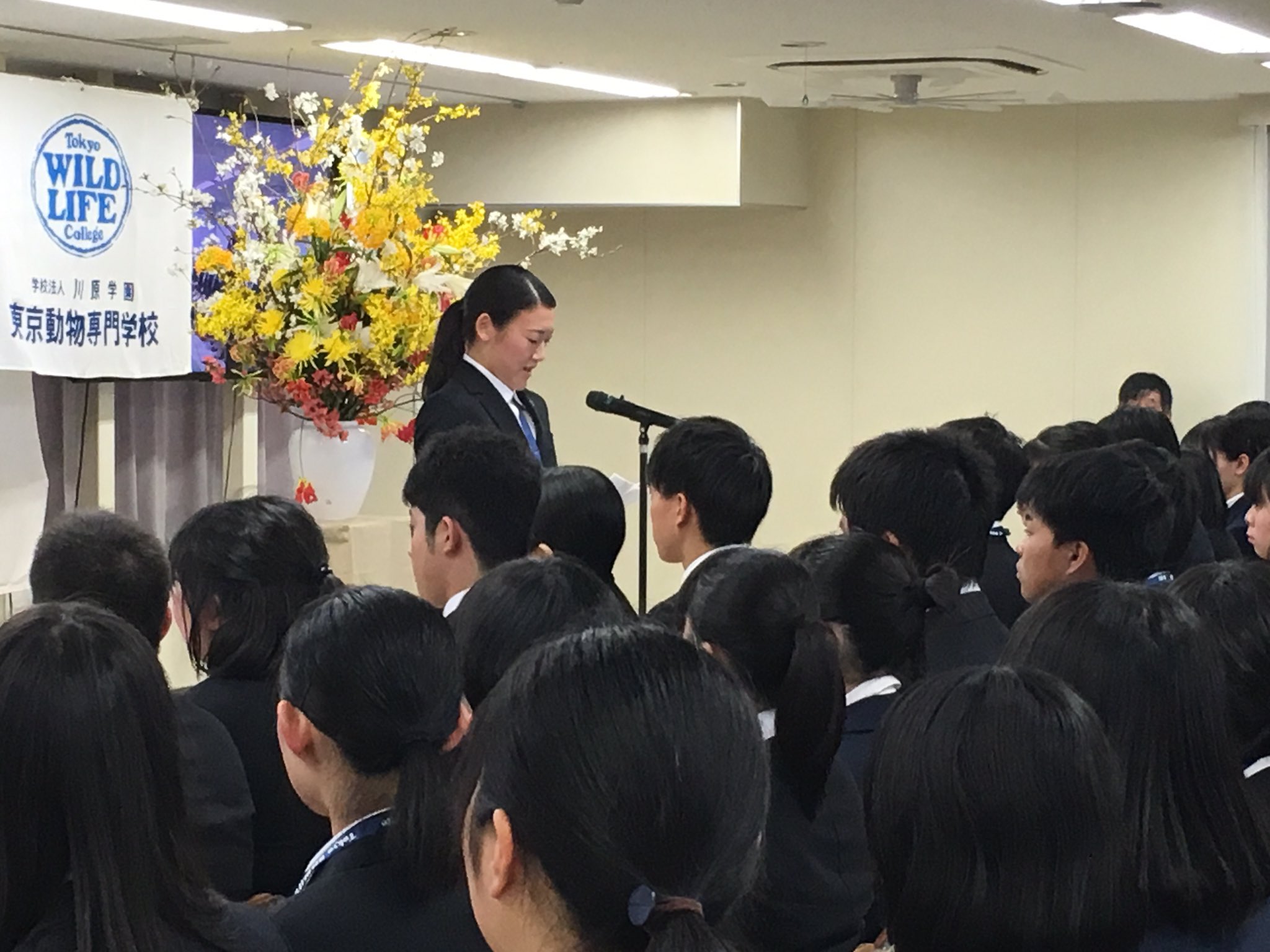 東京動物専門学校 公式 無事に入学式を終える事が出来ました 今年度は144名の新入生が仲間に入りました 明日は健康診断です 今日よりは緊張も和らぐでしょう笑 東京動物専門学校 入学式 集合写真 また明日も元気に会いましょう 31期生 動物 東京動物専門学校 公式 無事に入学式を終える事が出来ました 今年度は144名の新入生が仲間に入りました 明日は健康診断です 今日よりは緊張も和らぐでしょう笑 東京動物専門学校 入学式 集合写真 また明日も元気に会いましょう 31期生 動物