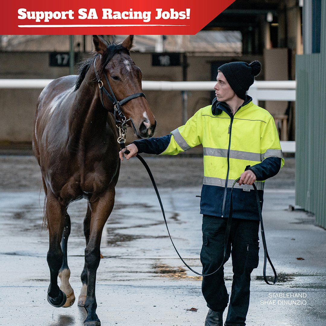 We are asking the SA Gov to match what the other states are doing – so we have a level playing field. We need our tax rate to be brought into line with the major racing states, &amp; some reinvestment of the revenue raised by the tax. supportsaracingjobs.com #SupportSARacingJobs