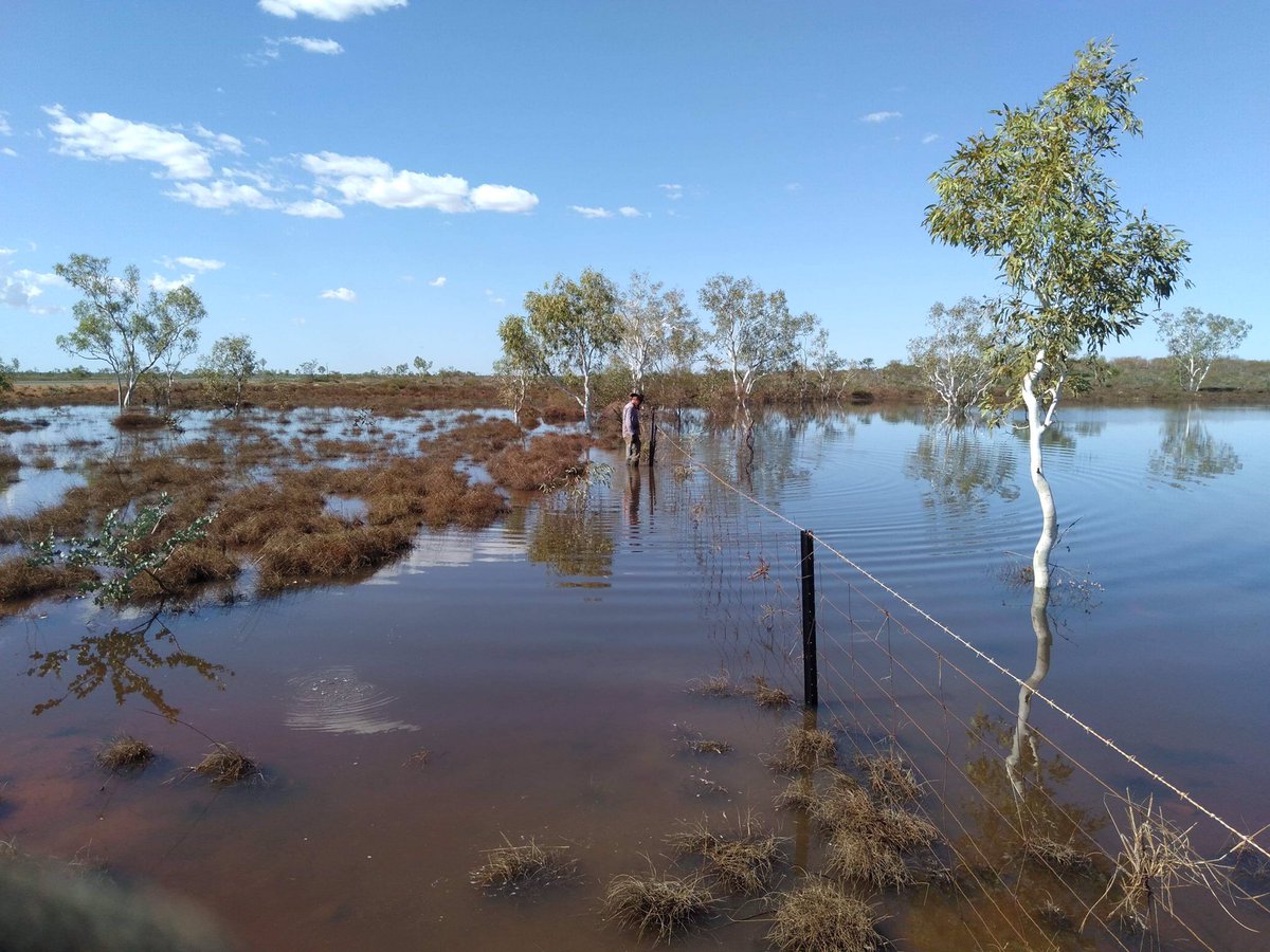 Bettinibeef's tweet photo. Our staff have been busy this week, fixing kilometres of fencing since TC Veronica. Working in knee deep water & slippery red mud has its challenges.
#floatiesrequired #lifeguardoncall #pilbarawetseason #fencingrepairs https://t.co/8l6ATg9yrP