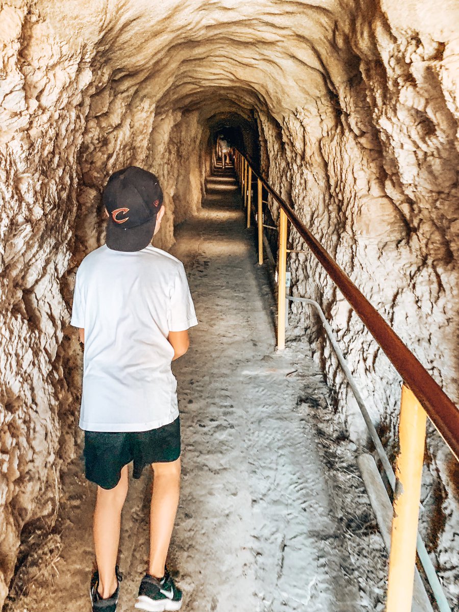 Afven2's tweet photo. Diamond Head State Memorial, Hawaii ✨⭐️💛
#travel #travelblog #familytravelblog #blog #travelblogger #affordableadventures #afven #family #happiness #budgettraveller #budgettravel #travellingkiwis #kikiandmj #budgetfriendly #traveltips #kiwis #hawaii #diamondhead #hike #views https://t.co/xGnMIxYU4D