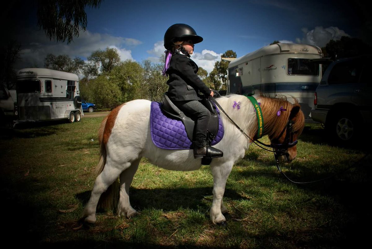 MissBeckj13's tweet photo. Only seemed like yesterday. #soadorable #Lilliansfirstshow #twoyearsold #cutestpair #gotthird #cubbycheeks #honeycanbegood #pony #loveit #photography https://t.co/yYsmcMTGZN