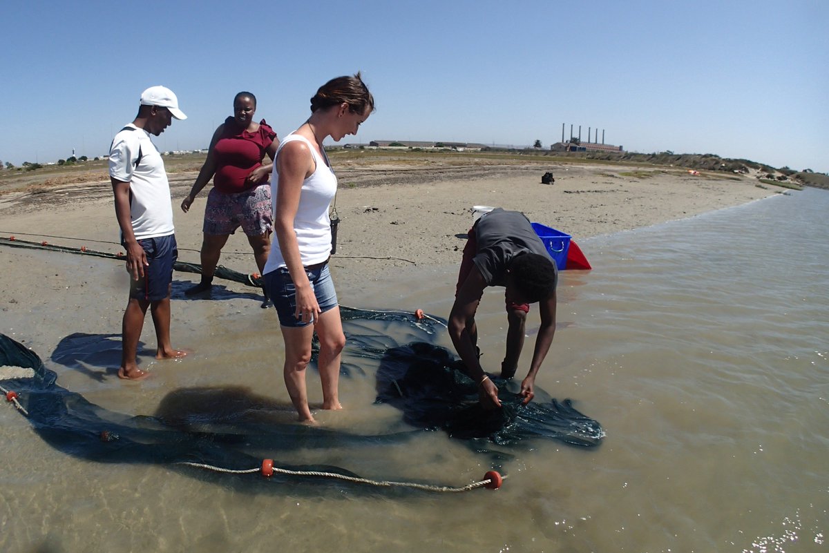 SMCRI_ZA's tweet photo. The fish were collected for laboratory analysis by the BTech (Nature Conservation) students from Nelson Mandela University
@SAEONews @DSTGovZA @NRF_News @NRF_SAIAB @MandelaUni #SAEON #Elwandle #SMCRI @ImtiyaazMalick #SamplingTechniques https://t.co/AoGA0AySul