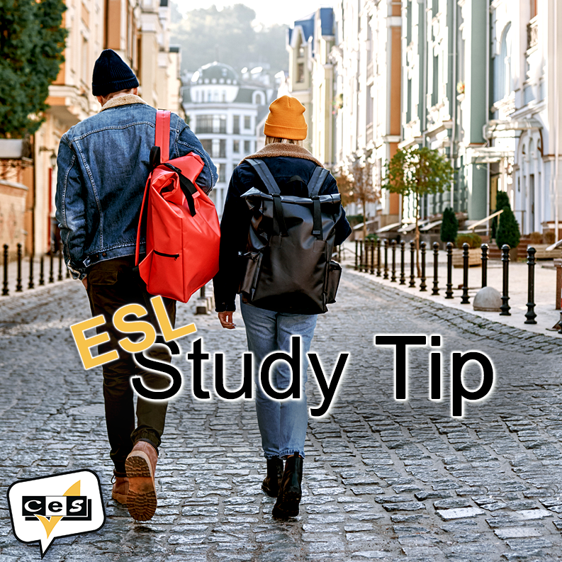 CESDublin's tweet image. Explore the city, identify unknown words and translate them in your journal. Whenever you come across these words again, you’ll remember the adventure you had and know exactly what each word means! #StudyinDublin #ESL #LearningTip @MEI_Ireland @StudyTravelLtd