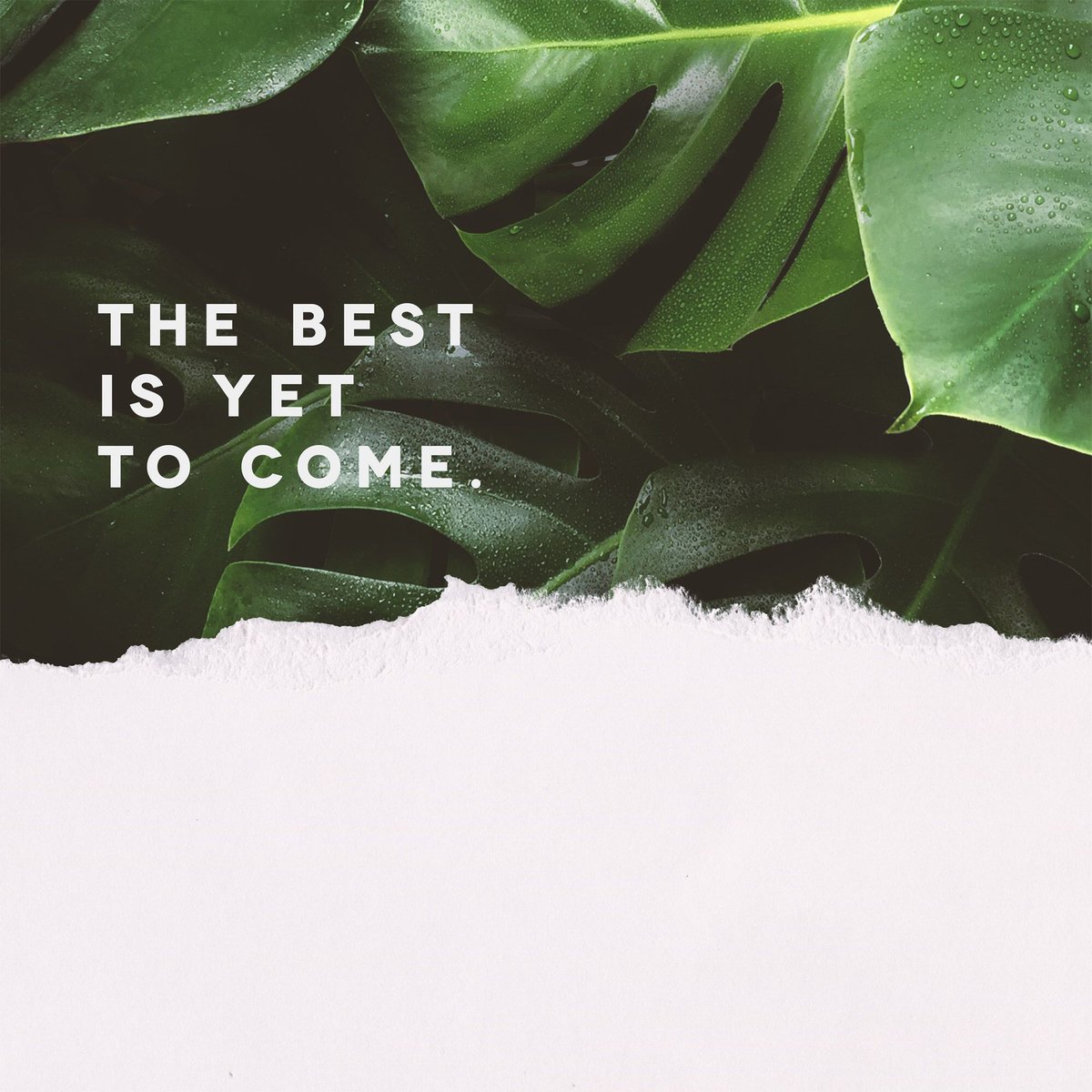 CLCHerrin's tweet photo. God’s about to do even greater things.
🙌🏼 A M E N 🙌🏼
#clcherrin #RaiseAHallelujah https://t.co/cGJqdosTEu