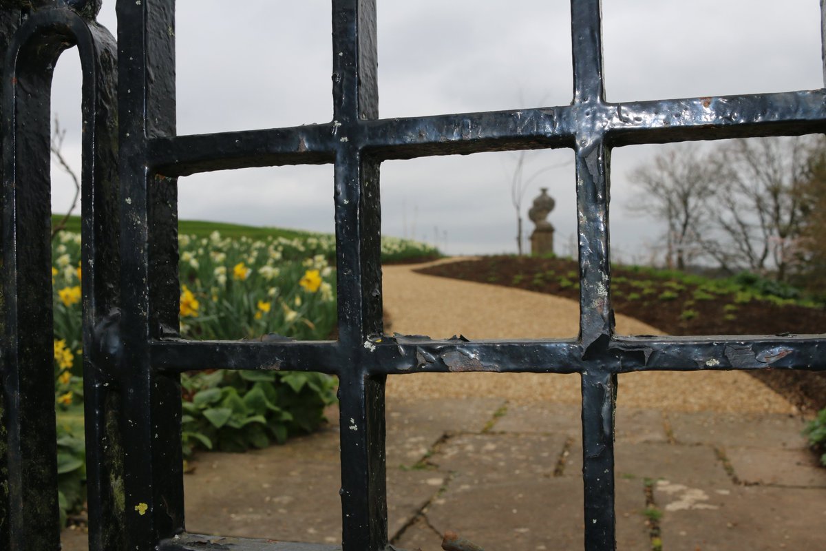 AmericanMuseum's tweet photo. It's #NationalWalkingDay, so why not take a ramble through our gardens? Follow the winding way or explore the arboretum, the choice is yours!
#windingway #americanmuseum #visitbath #visitsomerset #gardens #gardening #daffodils #bath #claverton https://t.co/ui2yoXkkZ2