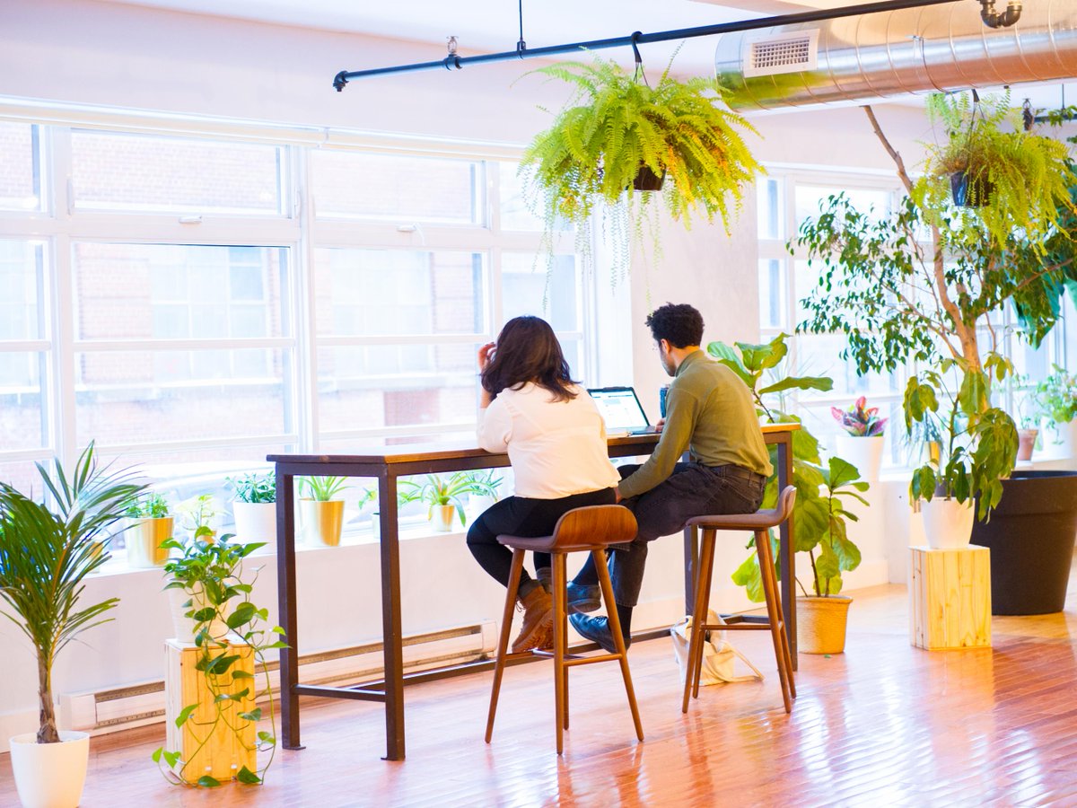 Anomaly_MTL's tweet image. Spring has sprung at our Mile End event space 🌿🍃. We have everything you need to host your next meetup or workshop. Book a tour and come see for yourself! bit.ly/2U1UBNJ 
#AnomalyMtl #Plotlylife #Montreal #Tech #Canada #MTL #MTLTech