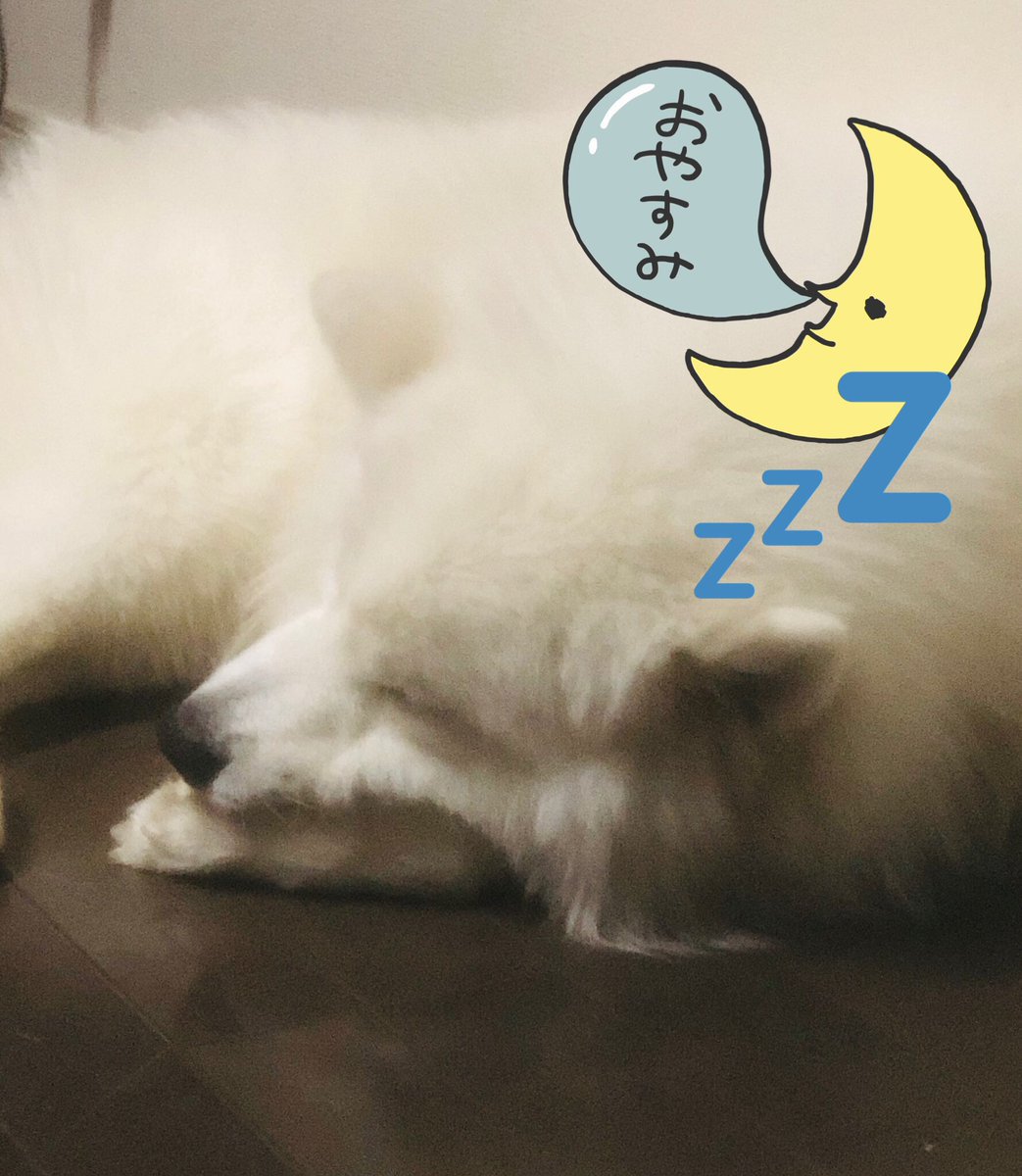 楽しい日本語 Nihongotanoshii Twitter