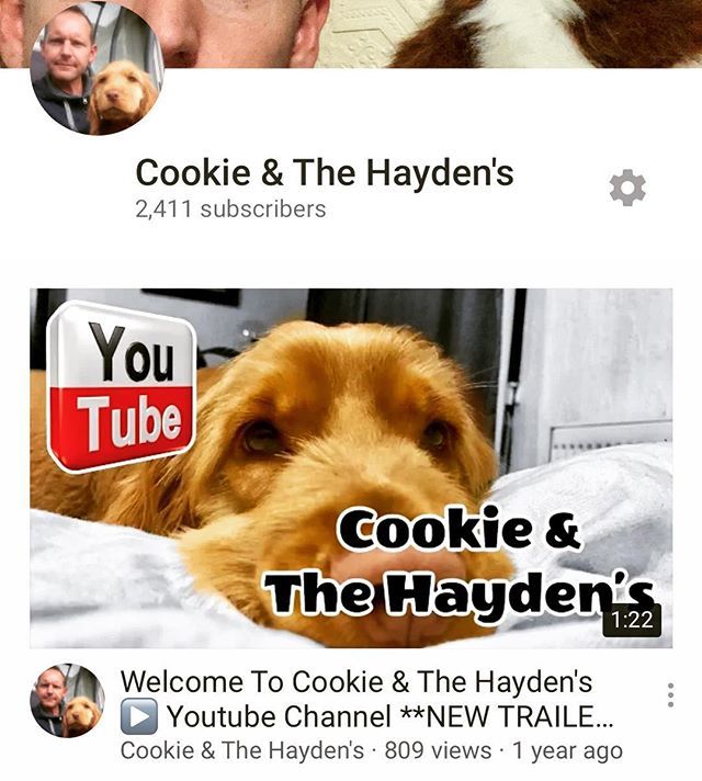 CookieSaysWoof's tweet photo. You know you can find me on YouTube don’t you?? Come join me 🐶
➖🐶➖
#cockerspaniel #cockerspanielpuppy #cockerspanielworld #dogsoftwitter #dogcelebration #dogtweets #cockerspanielsofinstagram #cockerspanielsofinsta #dogs #dog #puppy #puppylove #p… https://t.co/5vfY5Rxtle https://t.co/PUVmIzY74I