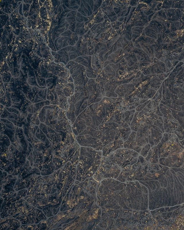 Jaanus Jagomägi tweet media