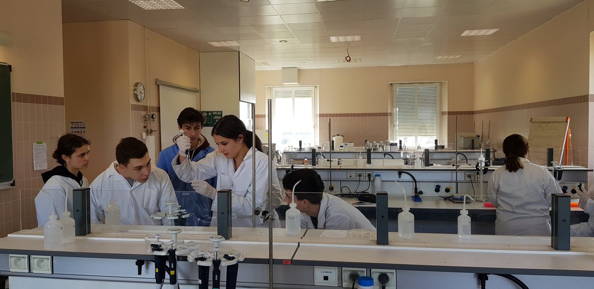 SupsciencesB's tweet photo. Le rôle de la PCR : Les élèves de sup sciences dans les laboratoires de l antenne scientifique de Chartres avec pour professeur Christophe Hano maître de conférence en biochimie végétale. https://t.co/l2wSanwaGB